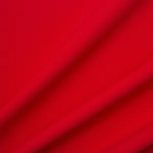 Red Triple Silk Georgette